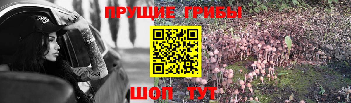 Калининград  Галлюциногенные грибы GOLDEN TEACHER  Вход с VPN 